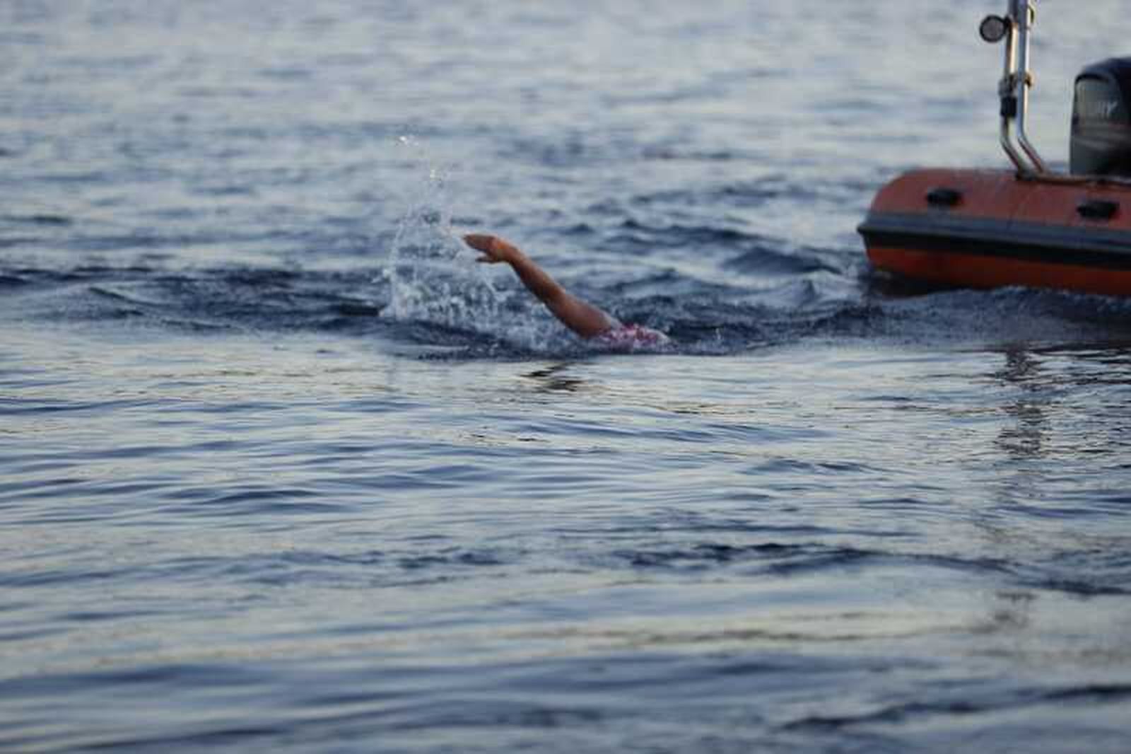 FOTO FOTÓGRAFOS SOLIDARIOS