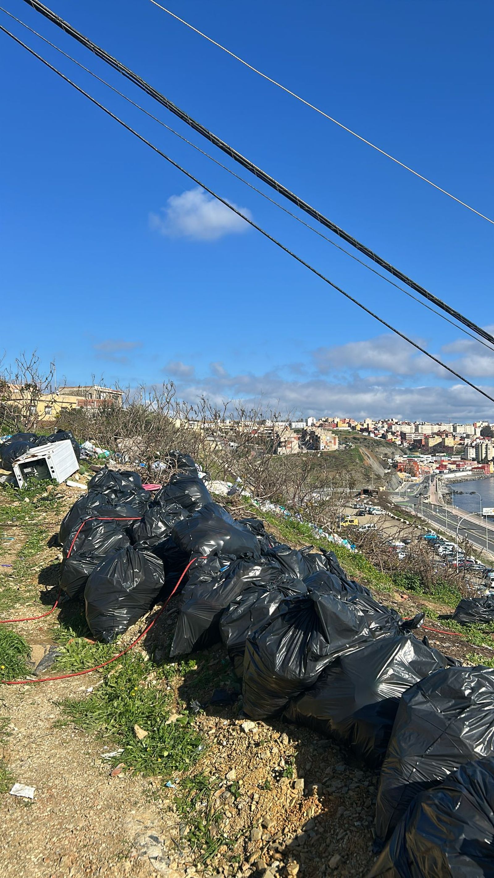 Las Brigadas Verticales limpian residuos en la barriada del Príncipe Felipe.