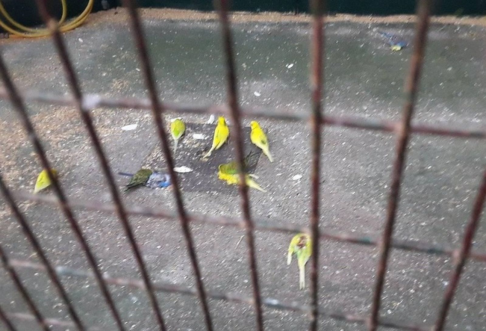 3695_244484363_10159337019229631_6472738961266916586_nweb