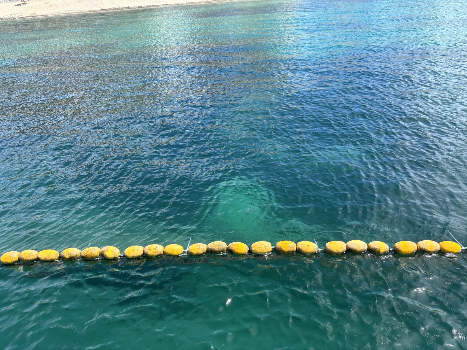 Ceuta blinda sus playas contra las medusas: el trabajo invisible que garantiza un verano seguro en el mar