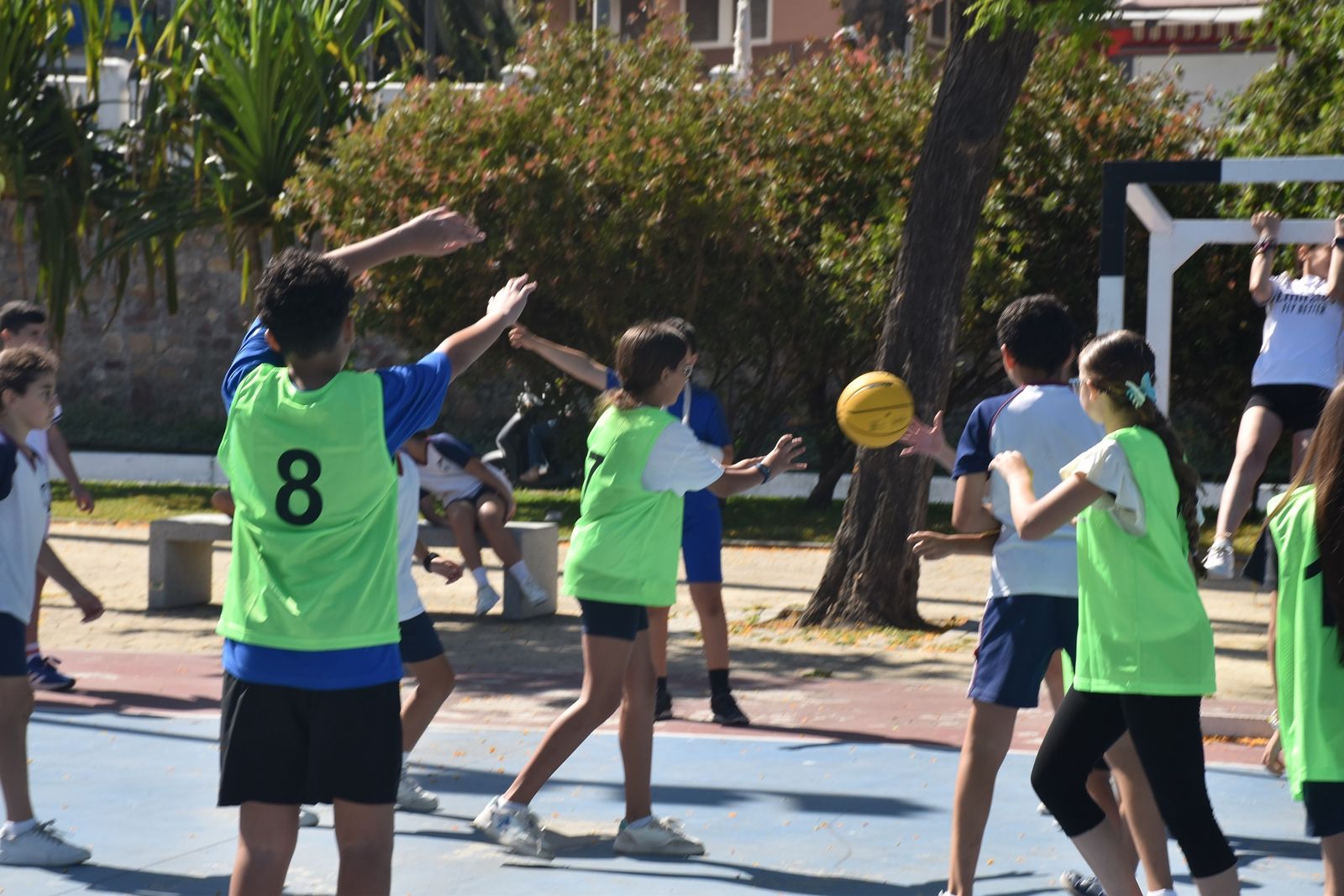 La gran fiesta del Baloncesto Escolar se celebra en La Marina
