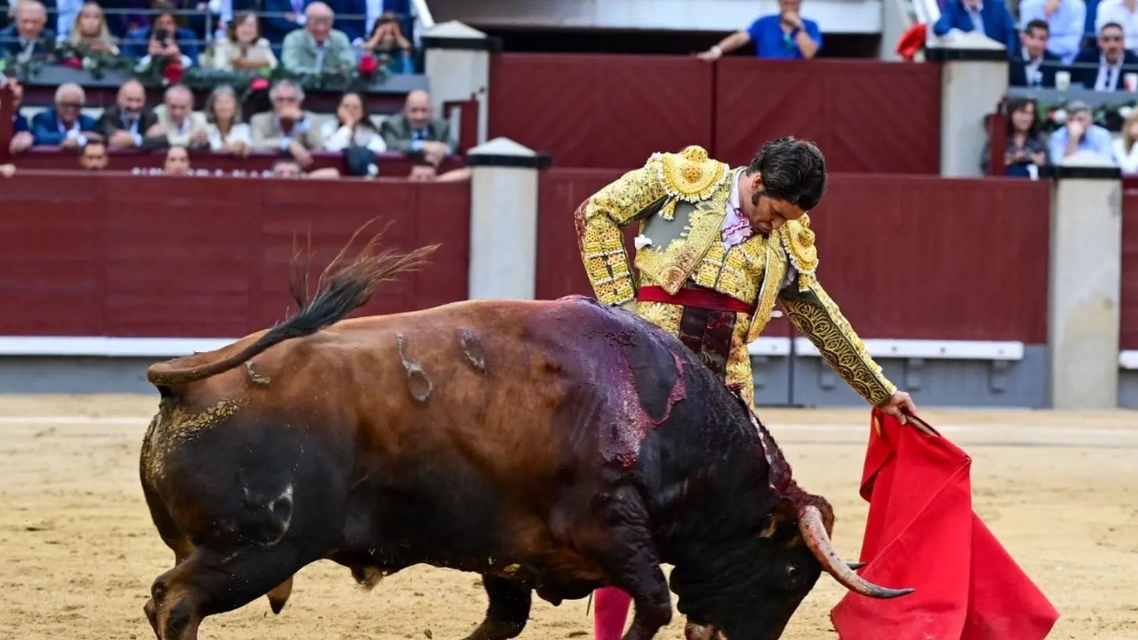 Morante de la Puebla regresaba este lunes a Las Ventas, donde se cortó la coleta