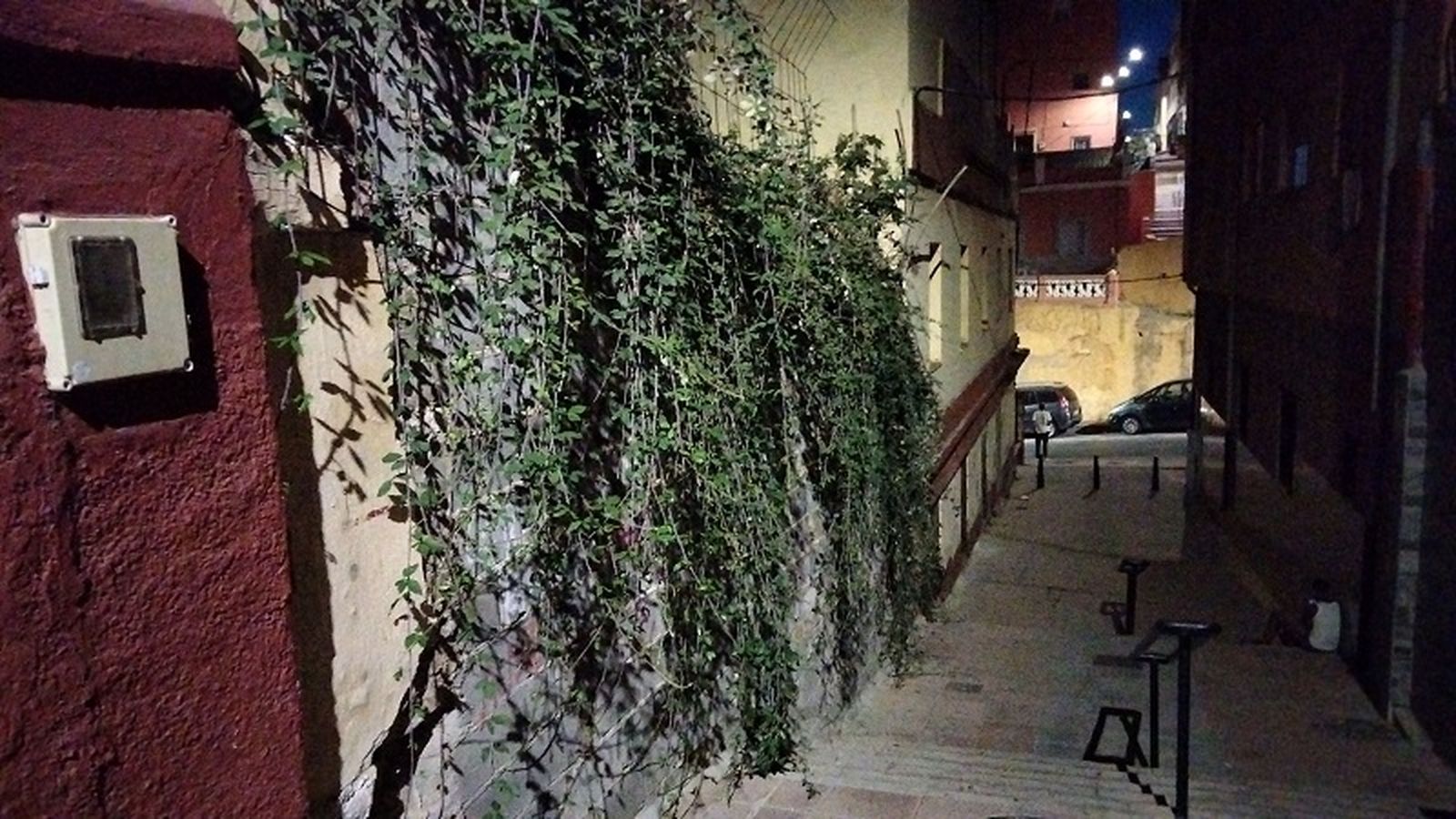 6293_img_20210910_211930web