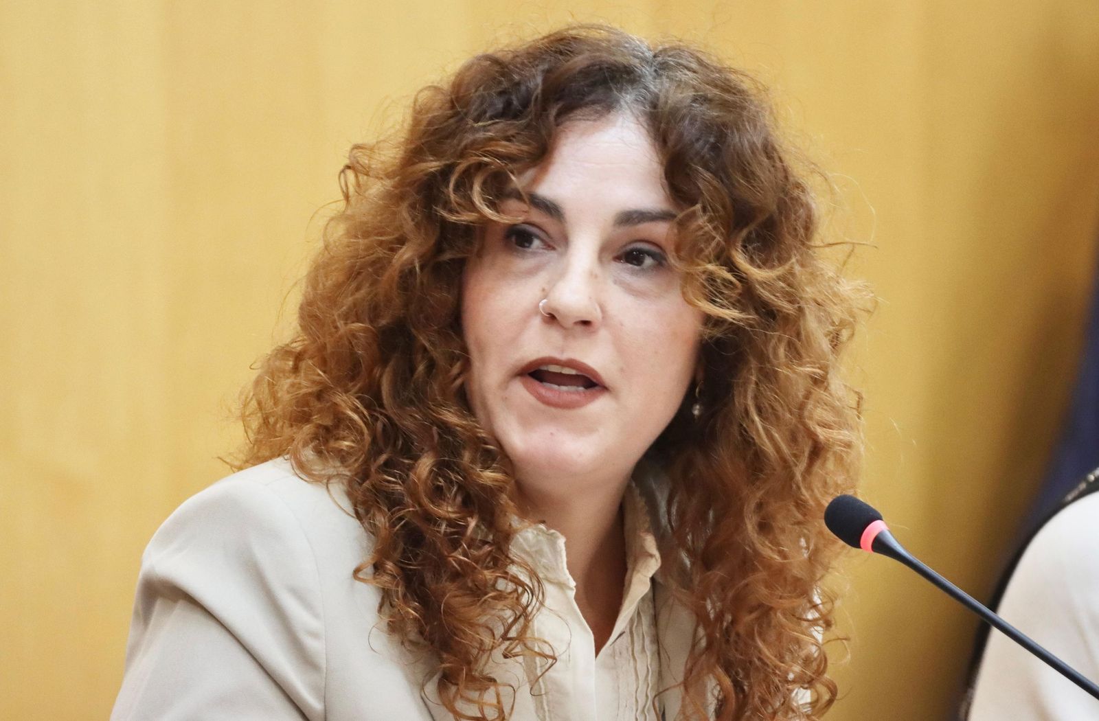 Julia Ferreras, diputada del grupo parlamentario Ceuta Ya! durante la sesión plenaria de este jueves 29 de enero