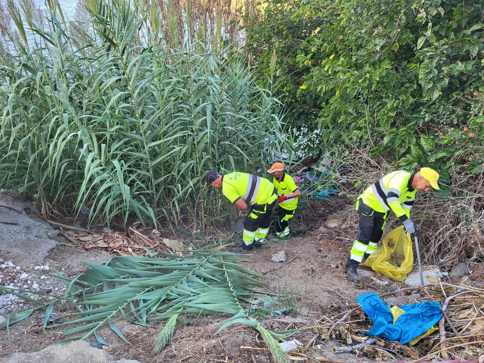 La zona del Sarchal estrena el plan de actuaciones vecinales de la Ciudad con limpieza y mantenimiento inmediato