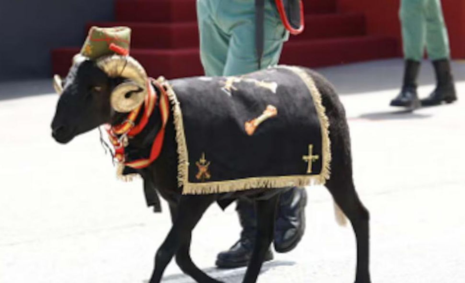 Animal Legión