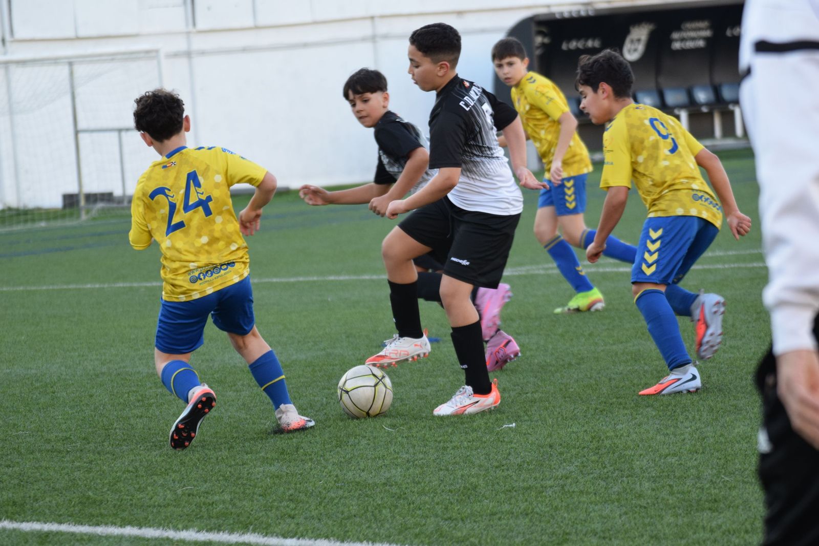 Liga Alevín de Fútbol-7