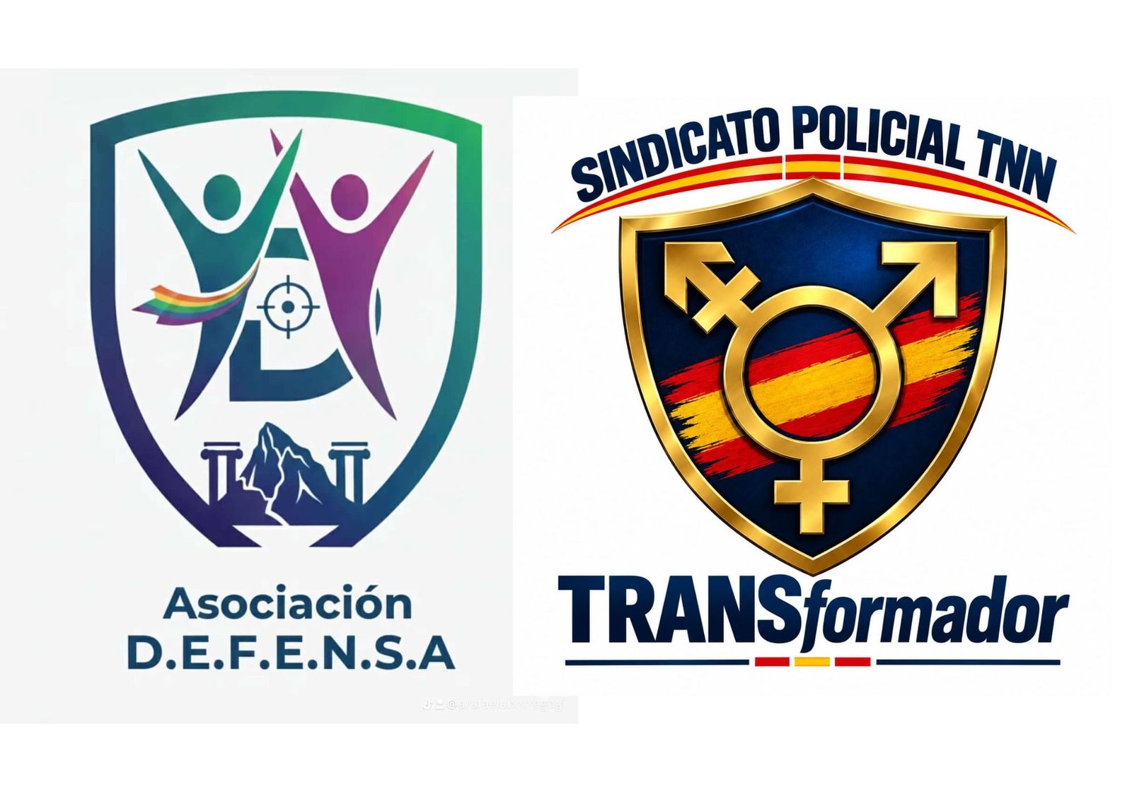 Logos de la Asociación DEFENSA y del Sindicato TNN