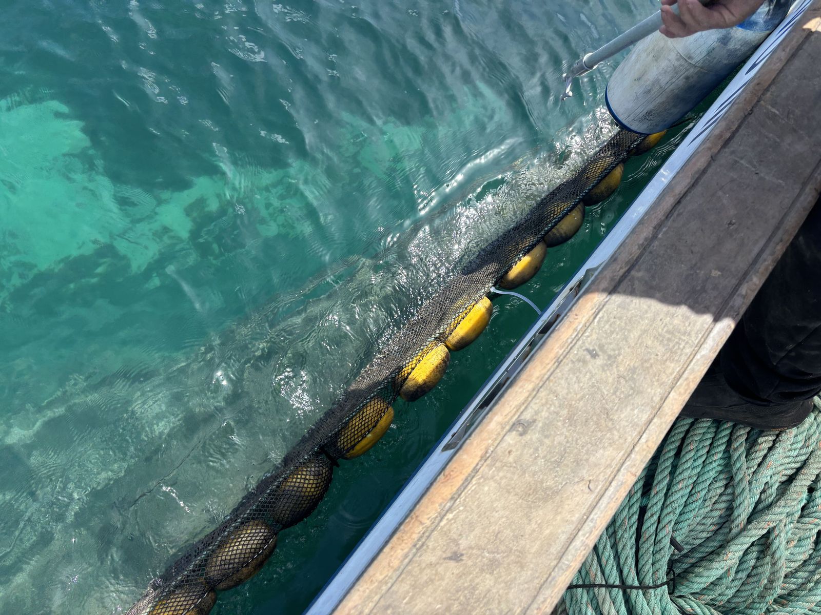 Ceuta blinda sus playas contra las medusas: el trabajo invisible que garantiza un verano seguro en el mar