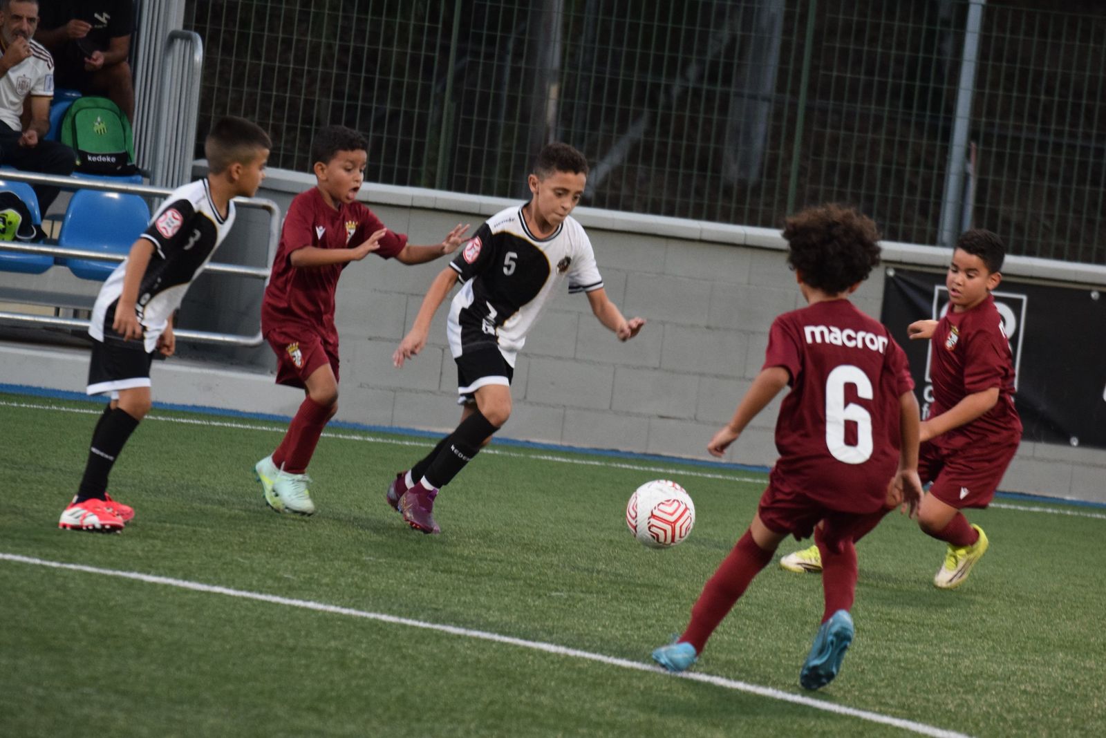Liga Benjamín