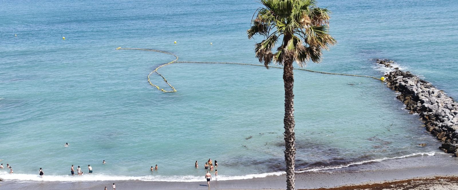 La Ciudad refuerza las tareas de limpieza en las playas ante la acumulación de algas por el levante