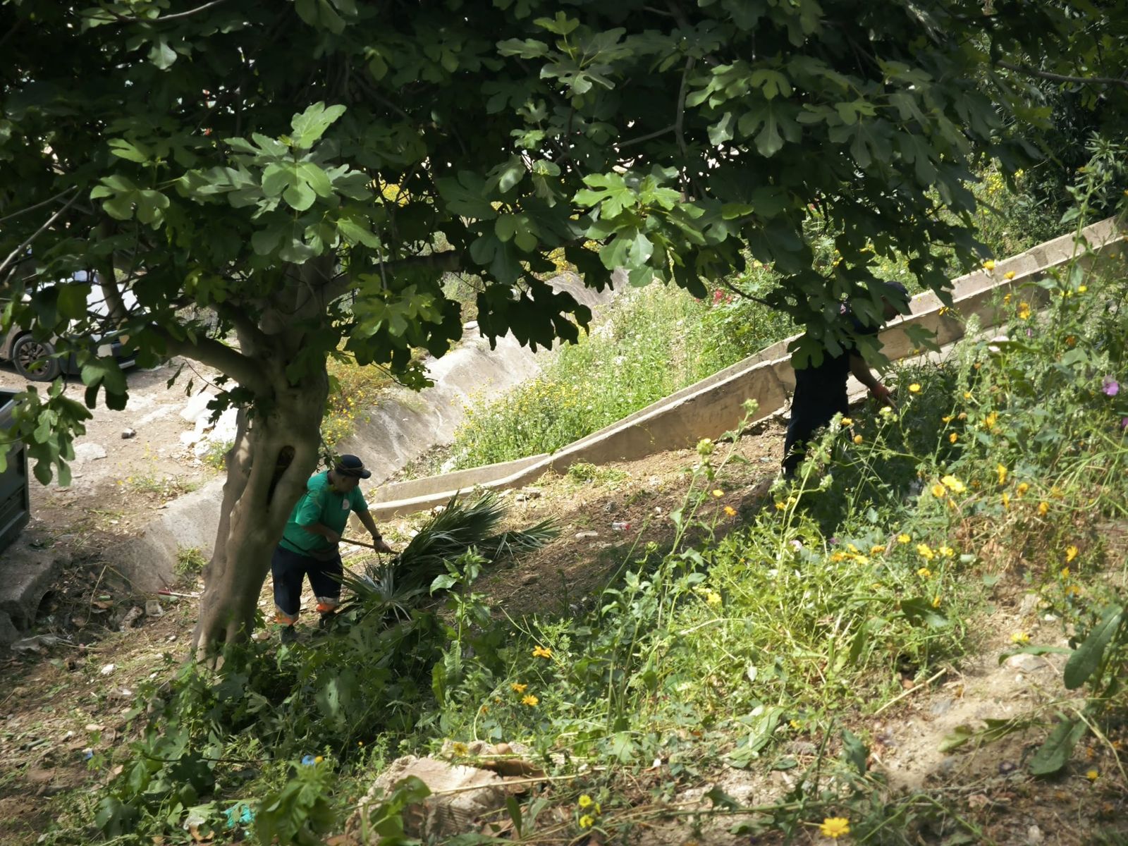 La Ciudad actúa tras las denuncias vecinales y limpia la vaguada de Miramar Alto