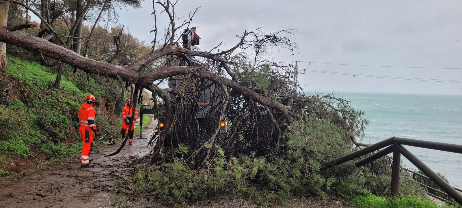 Destrozos del temporal.