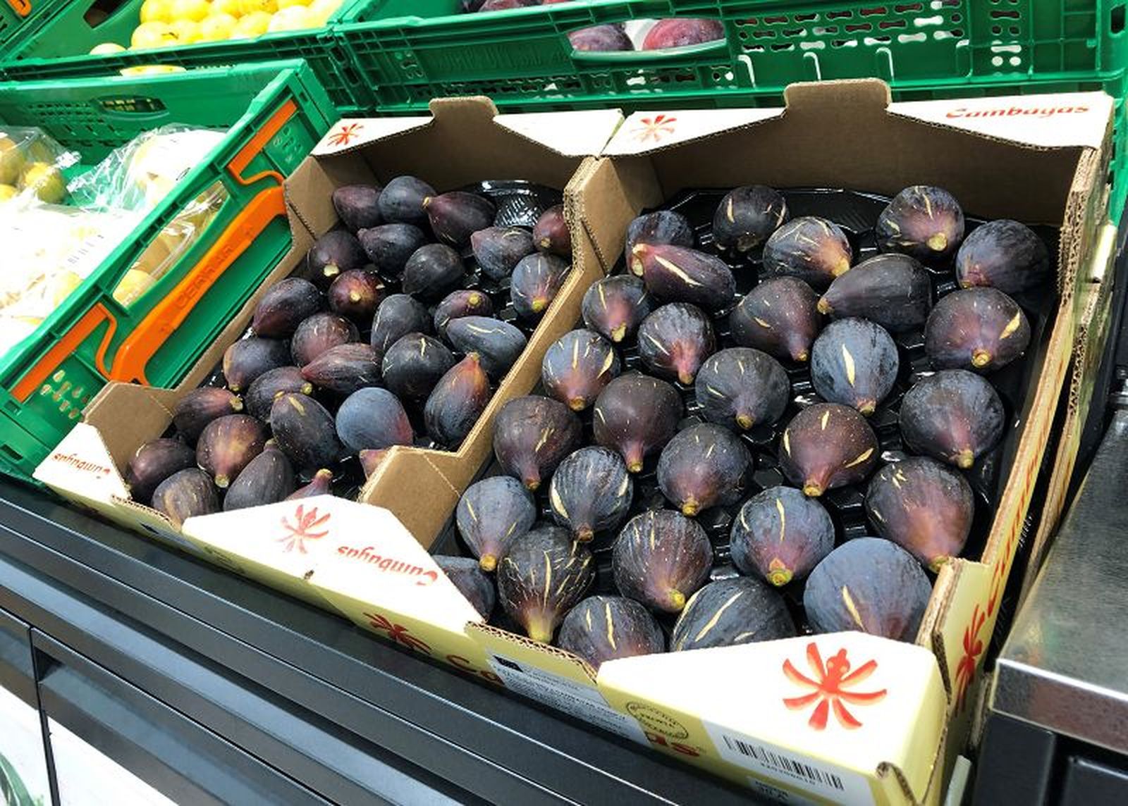 6536_higosweb 6536_higosweb