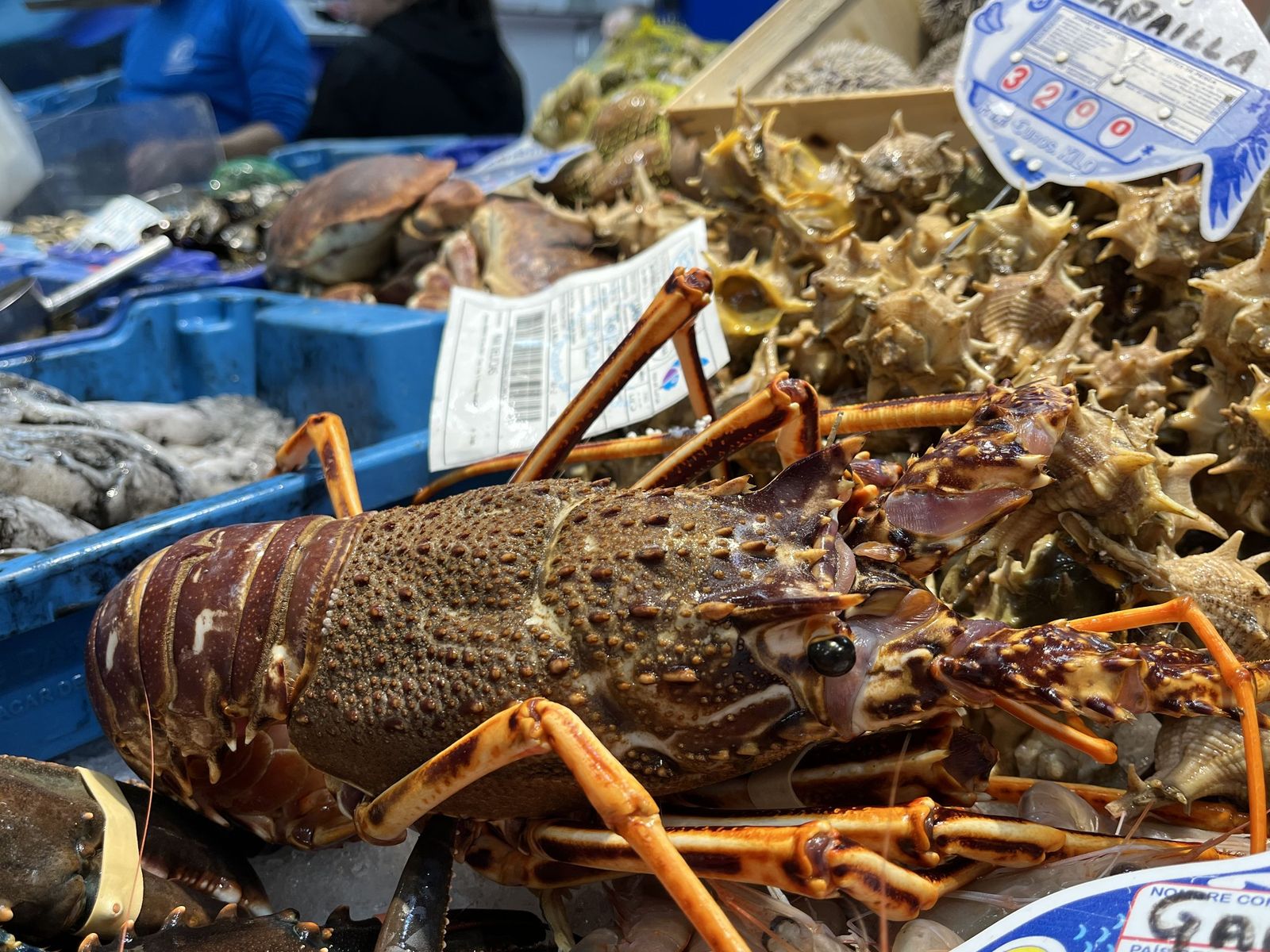 Imágenes de la pescadería de Younes en el Mercado Central.