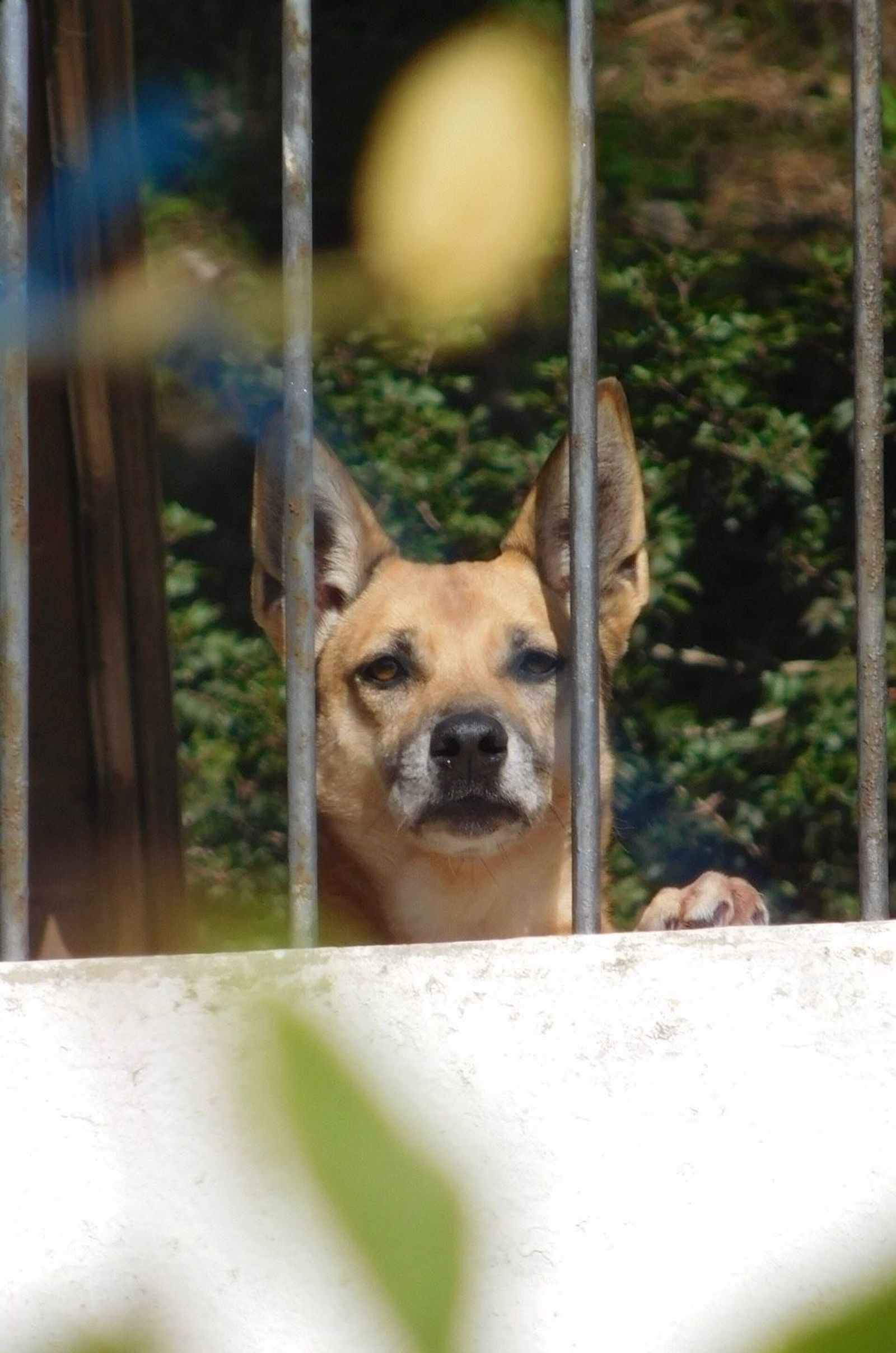 Segundo premio del concurso de fotografía del encuentro de corresponsales juveniles