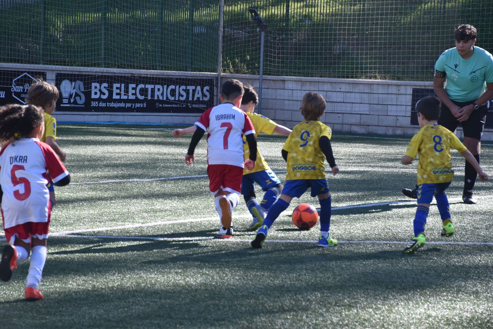 Cinco equipos lideran