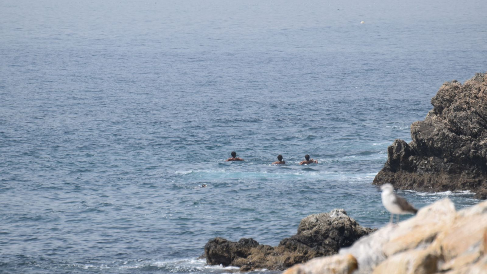 Varios nadadores en aguas de Ceuta