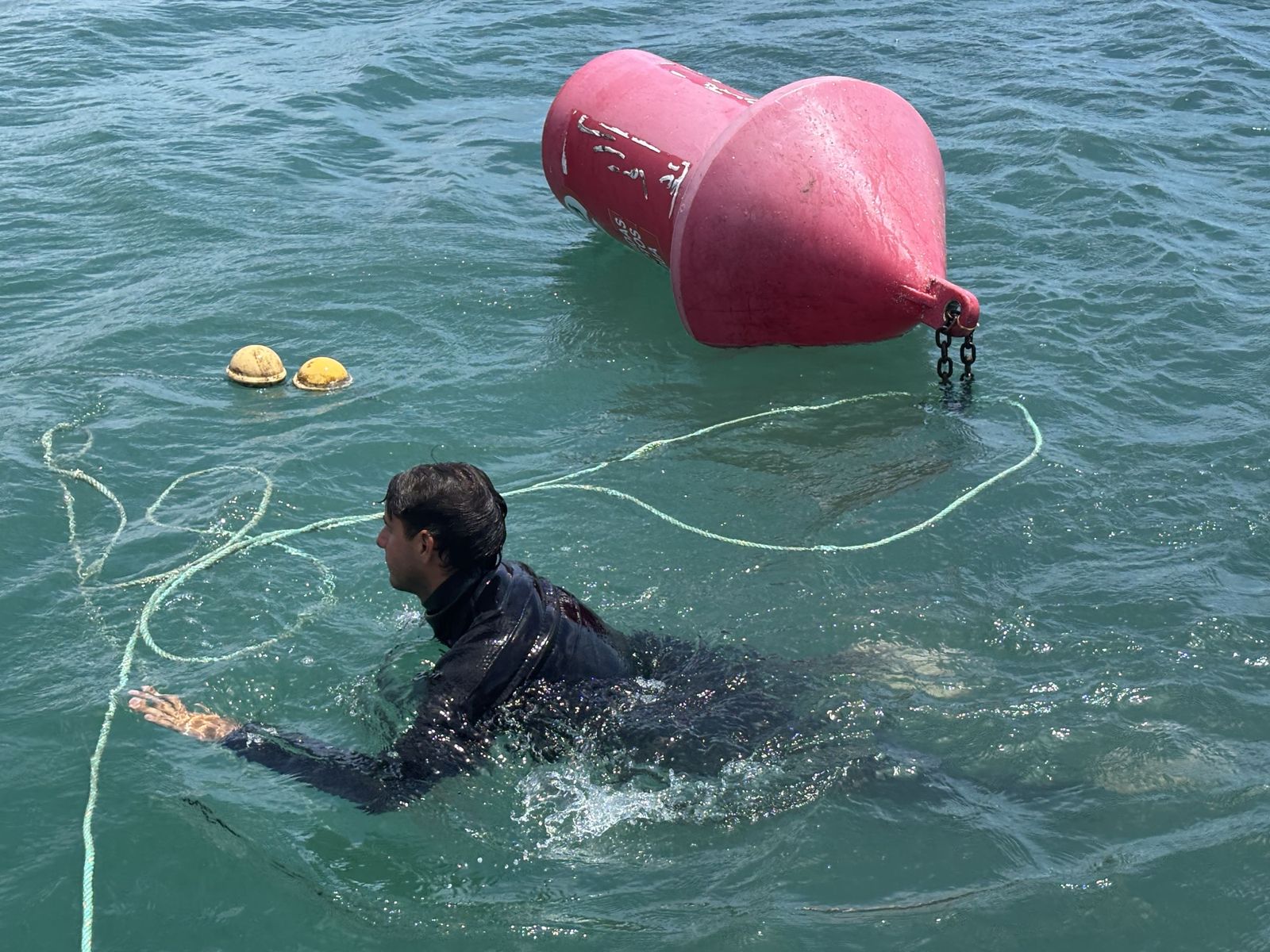 Ceuta blinda sus playas contra las medusas: el trabajo invisible que garantiza un verano seguro en el mar
