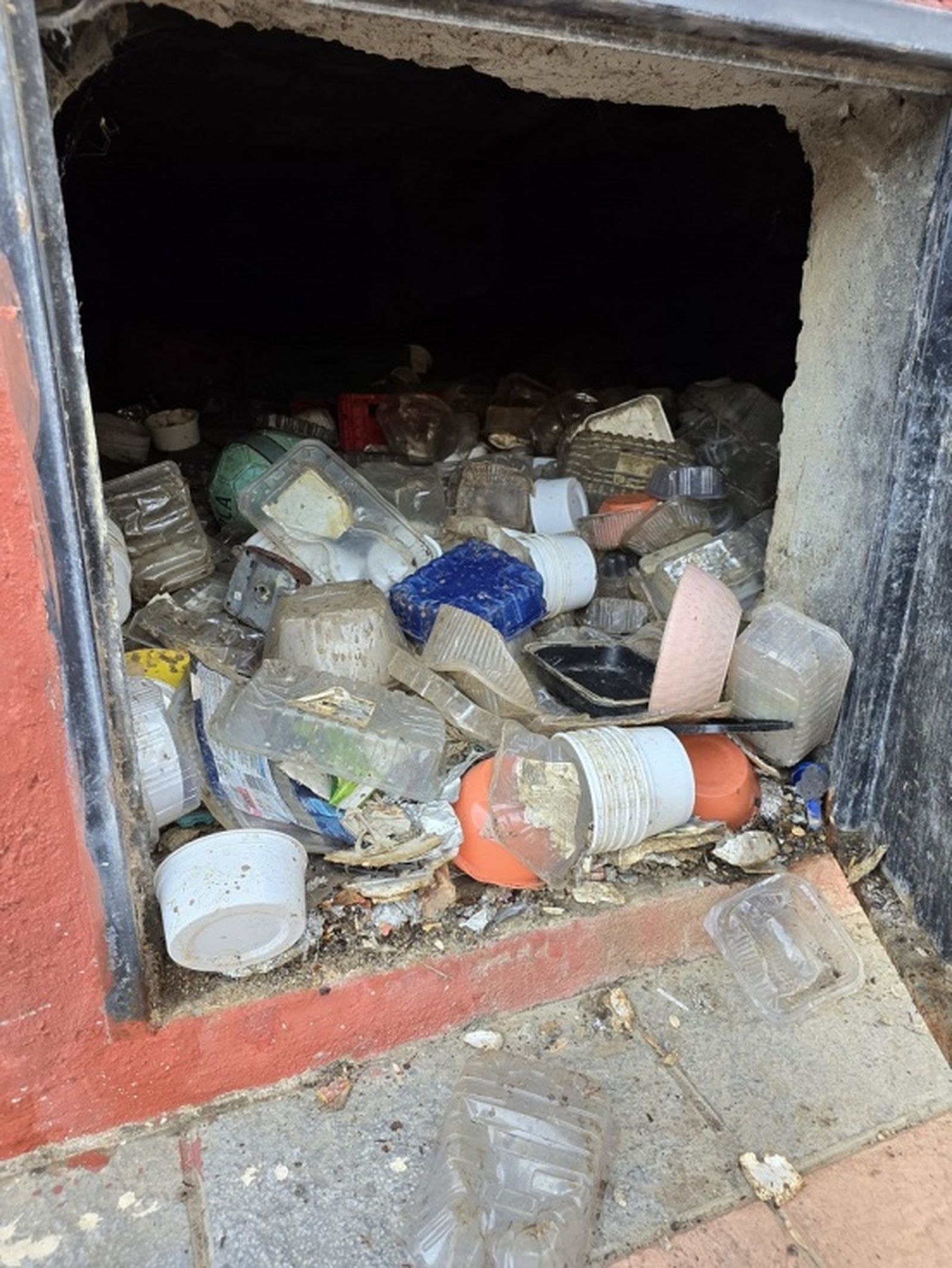 Estado del acceso al aljibe antes de ser limpiado. / FOTO CEDIDA