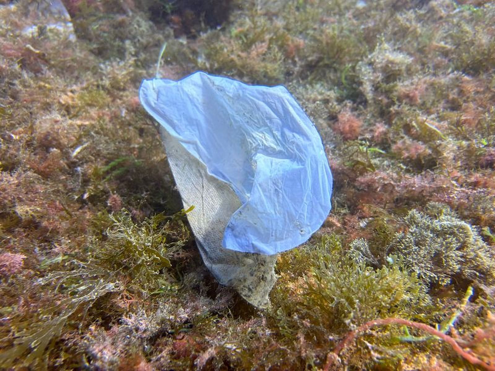 “Lo que no se ve no se conoce y como los residuos están debajo del agua, parece que no existen”. / FOTO CEDIDA “Lo que no se ve no se conoce y como los residuos están debajo del agua, parece que no existen”. / FOTO CEDIDA