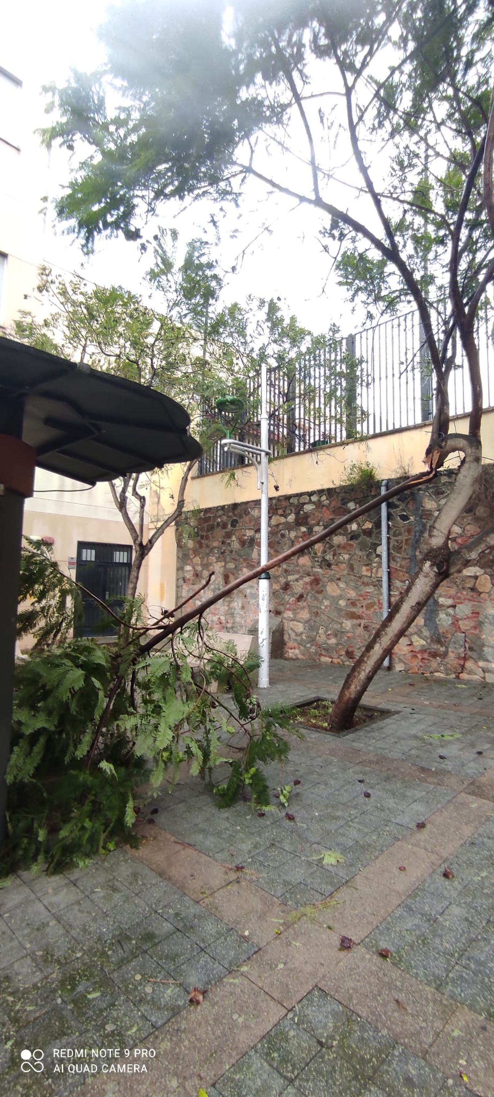 Vea las imágenes más impactantes del temporal