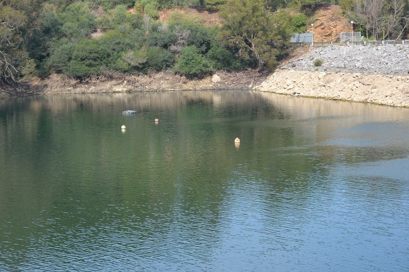 FOTO: ARCHIVO