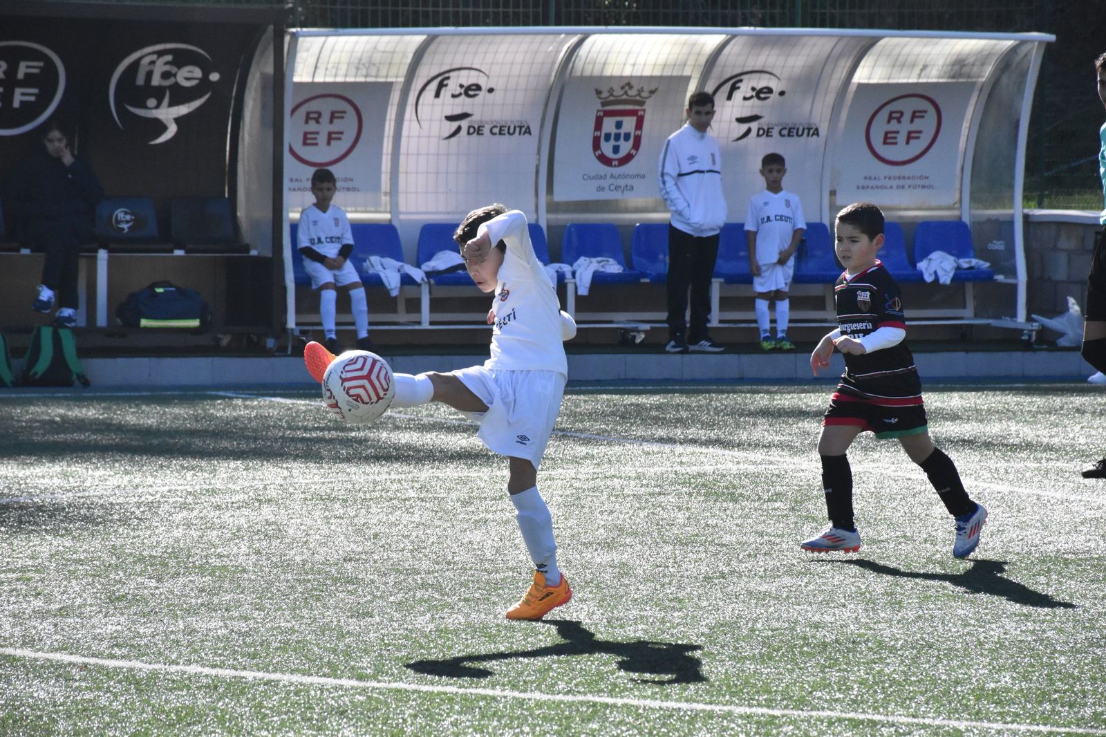 Cinco equipos lideran