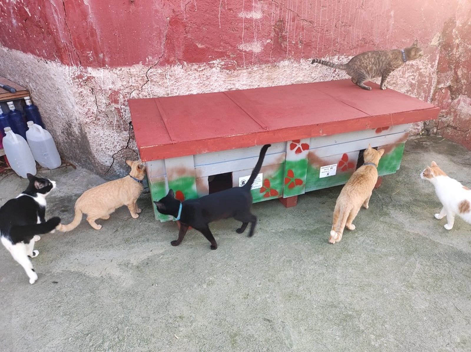 Otra de las casetas que ha realizado este equipo. / FOTO CEDIDA