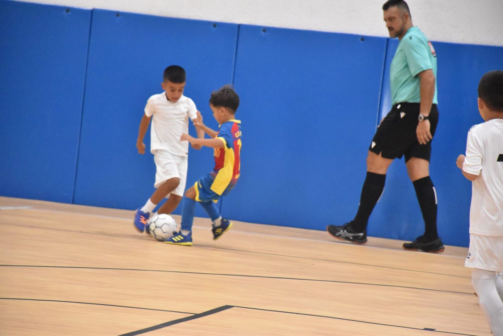 Partidos en Santa Amelia