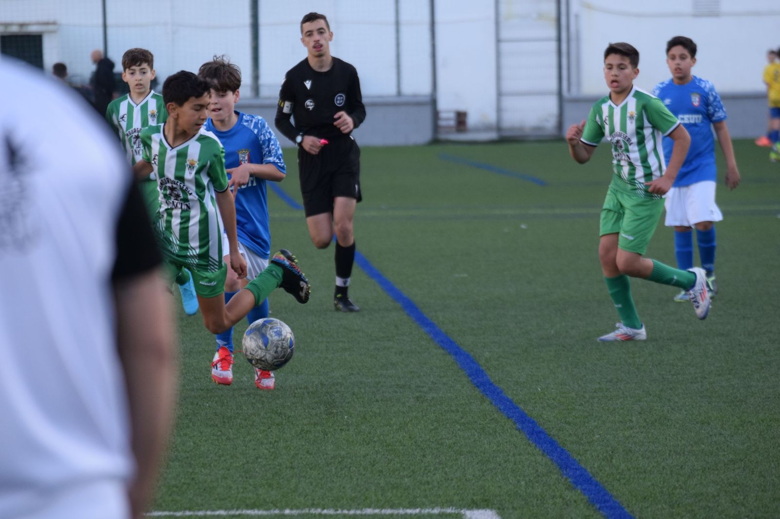 Liga Alevín de Fútbol-7