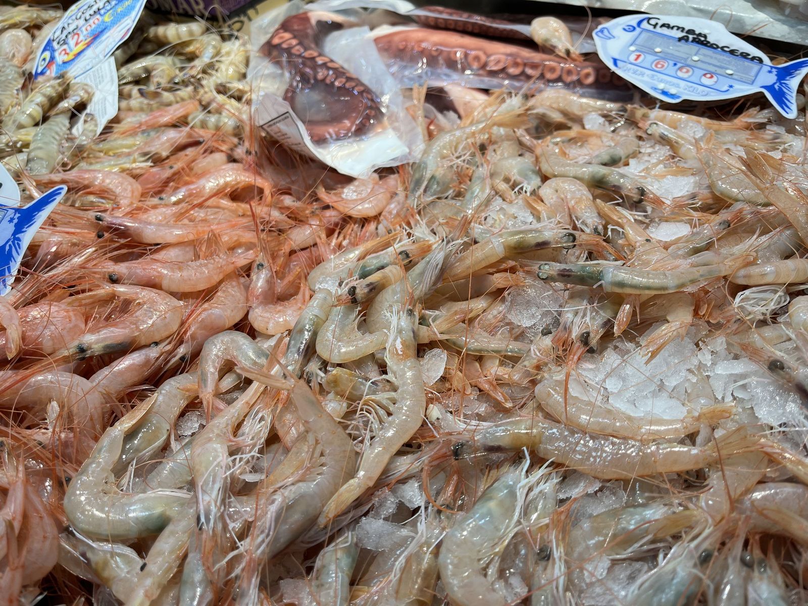 Imágenes de la pescadería de Younes en el Mercado Central.