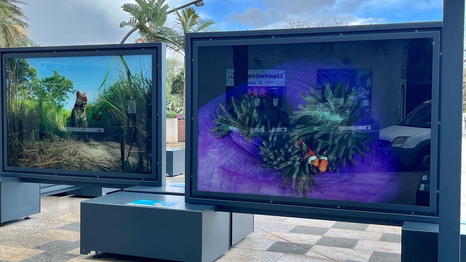 Exposición Colores del mundo inaugurada este martes en el Paseo de La Marina