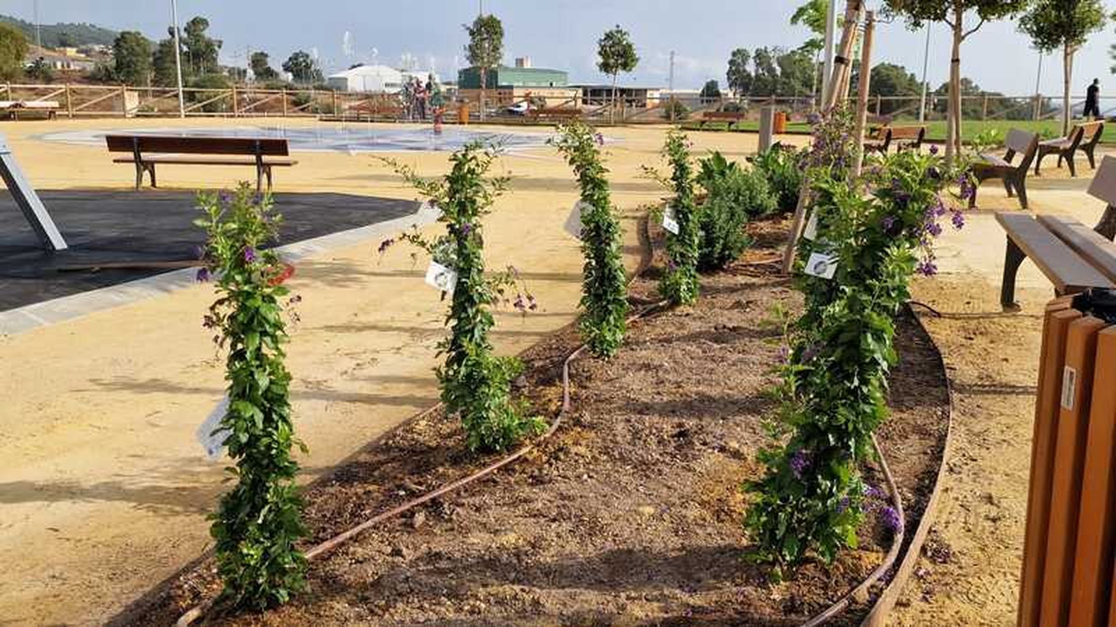 3587_parque-regulares-nuevo-ceuta-5