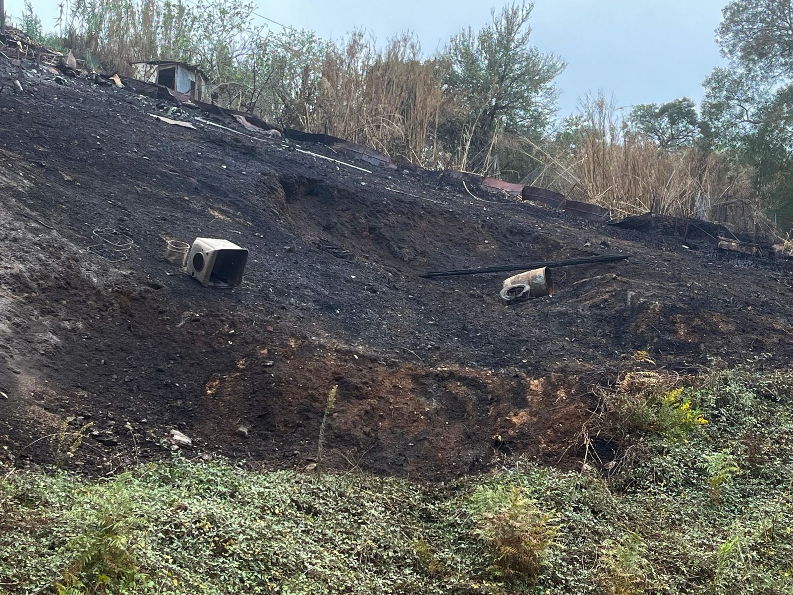 Zona calcinada del Pantano tras el incendio Zona calcinada del Pantano tras el incendio