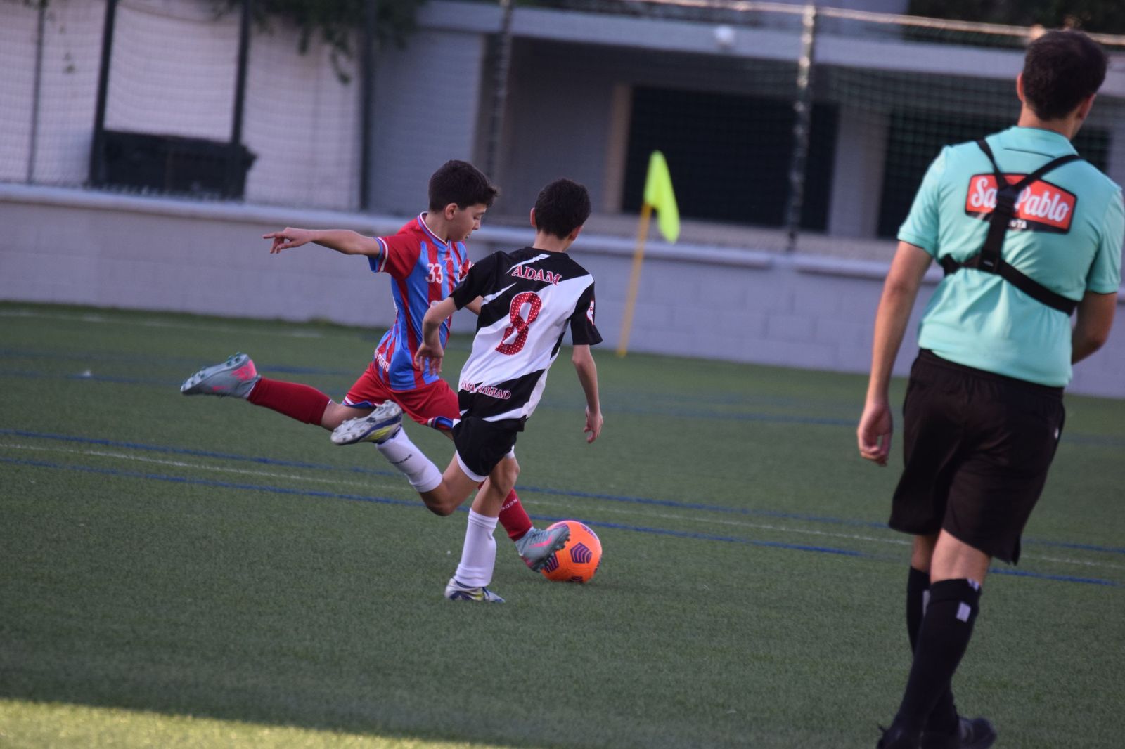Liga Alevín de Fútbol-7