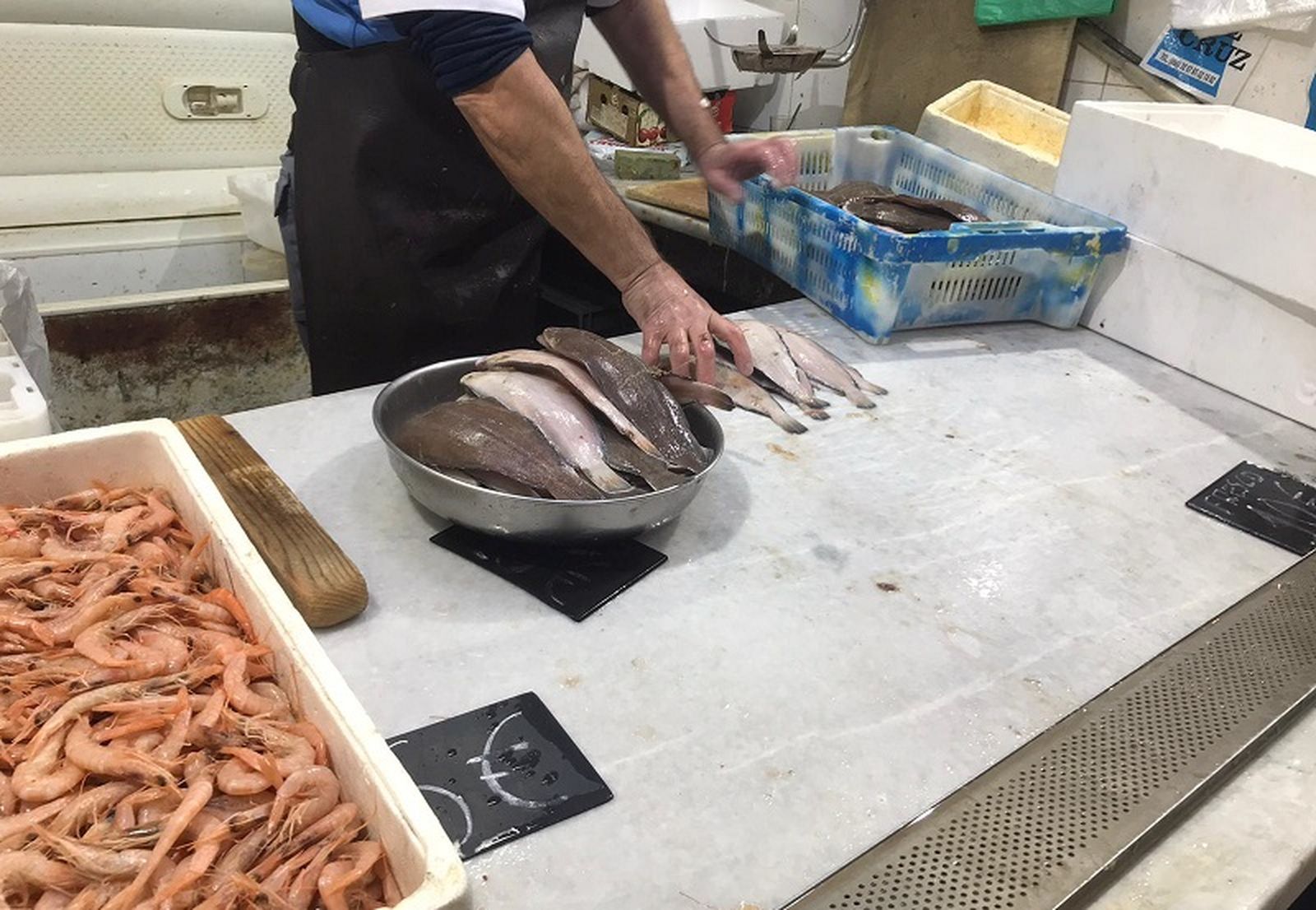 8411_whatsapp-image-2020-02-10-at-141407