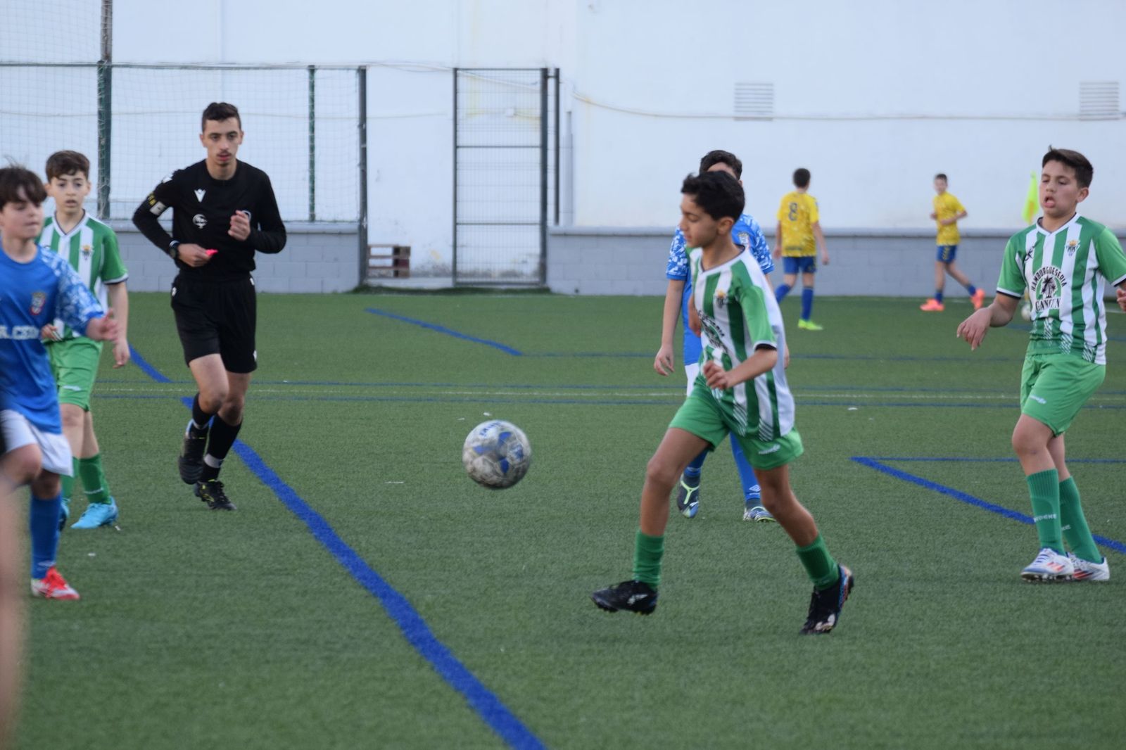 Liga Alevín de Fútbol-7