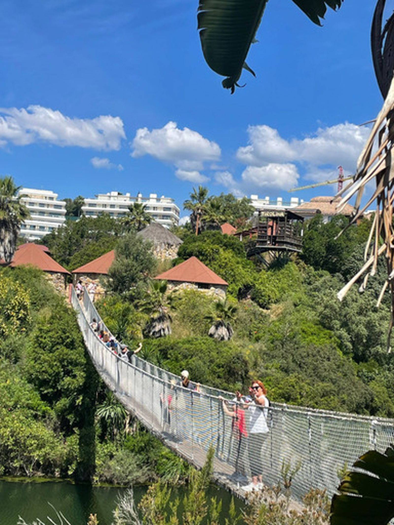 6649_whatsapp-image-2025-05-16-at-180032_11zon