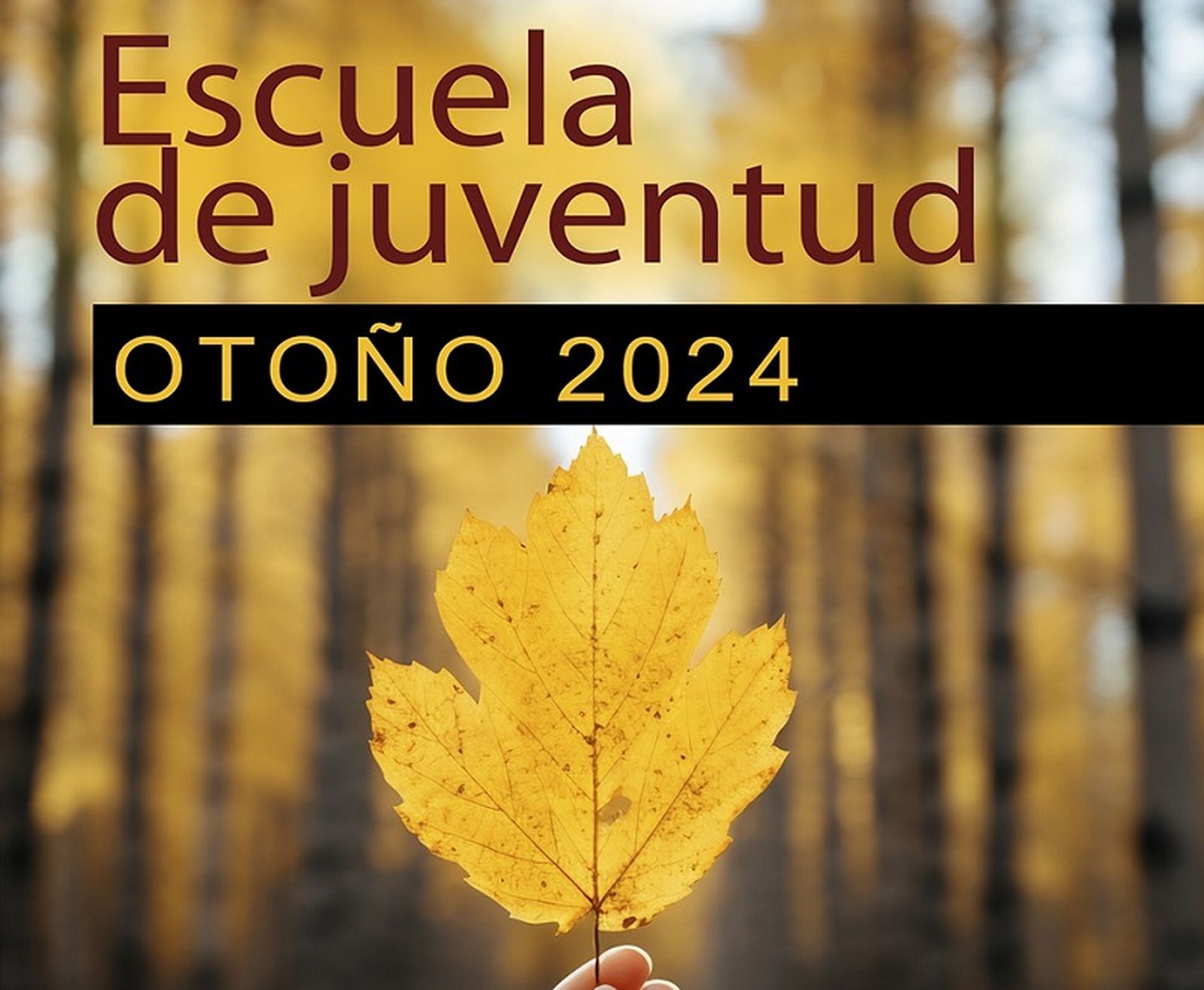 Cartel talleres otoño Casa de la Juventud | FOTO  REPRODUCCIÓN