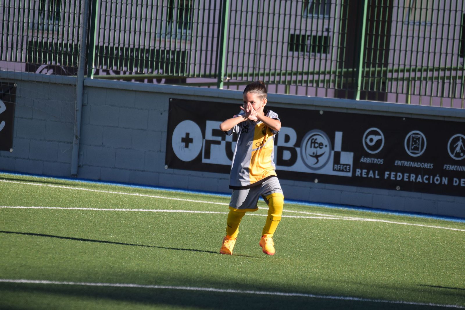 Liga Benjamín