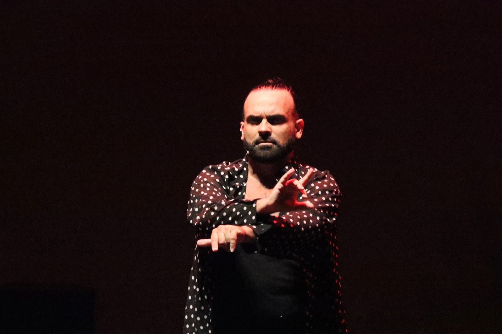 El Revellín se llena de arte con el espectáculo inaugural “Abrazo Flamenco Ceuta–Málaga” El Revellín se llena de arte con el espectáculo inaugural “Abrazo Flamenco Ceuta–Málaga”