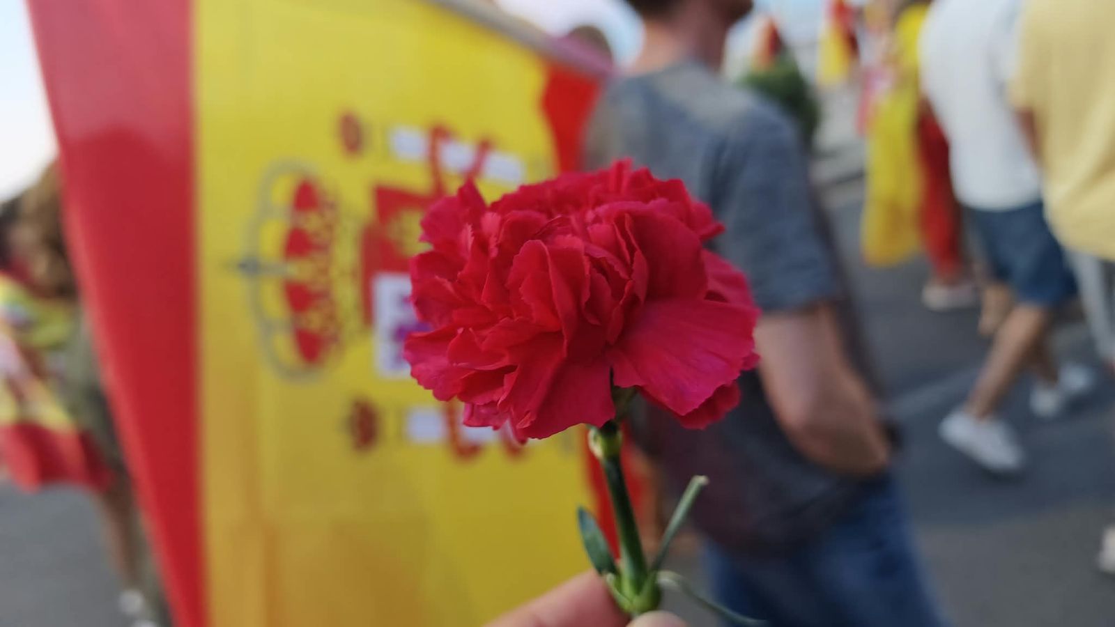Uno de los claveles usados por los ceutíes para manifestarse pacíficamente