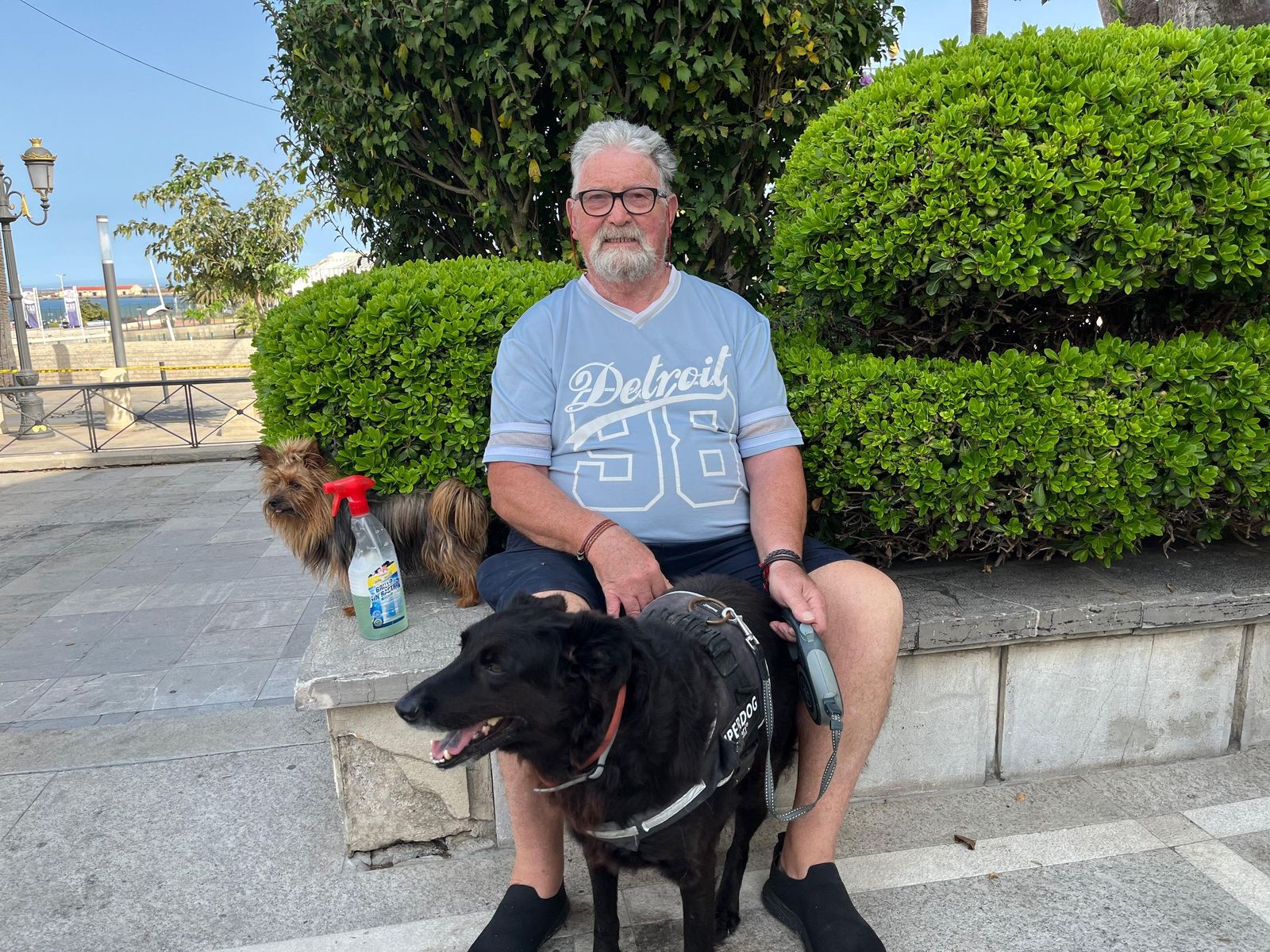 El vicario bendice a los animales de Ceuta por San Daniel
