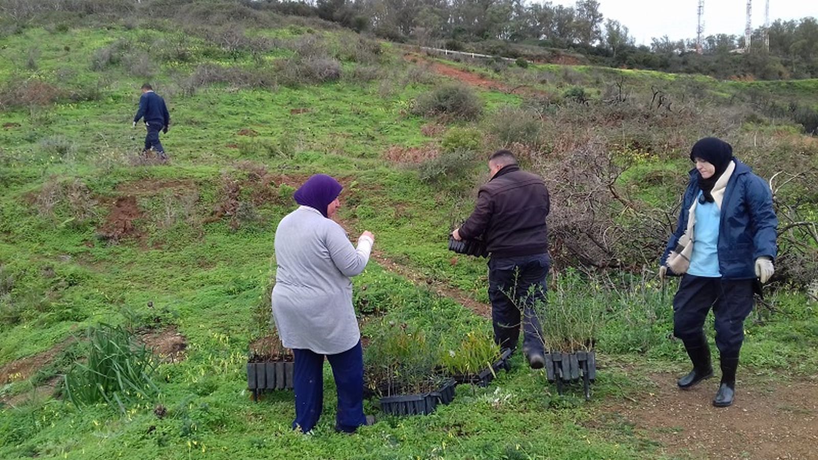 4130_reforestacion-obimass