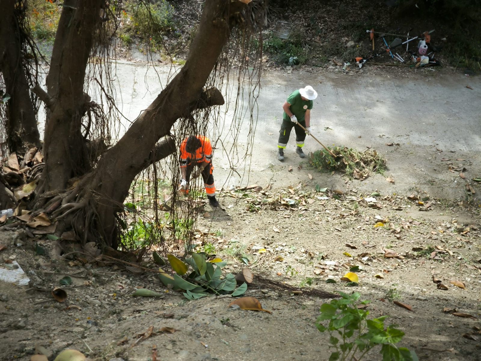 La Ciudad actúa tras las denuncias vecinales y limpia la vaguada de Miramar Alto