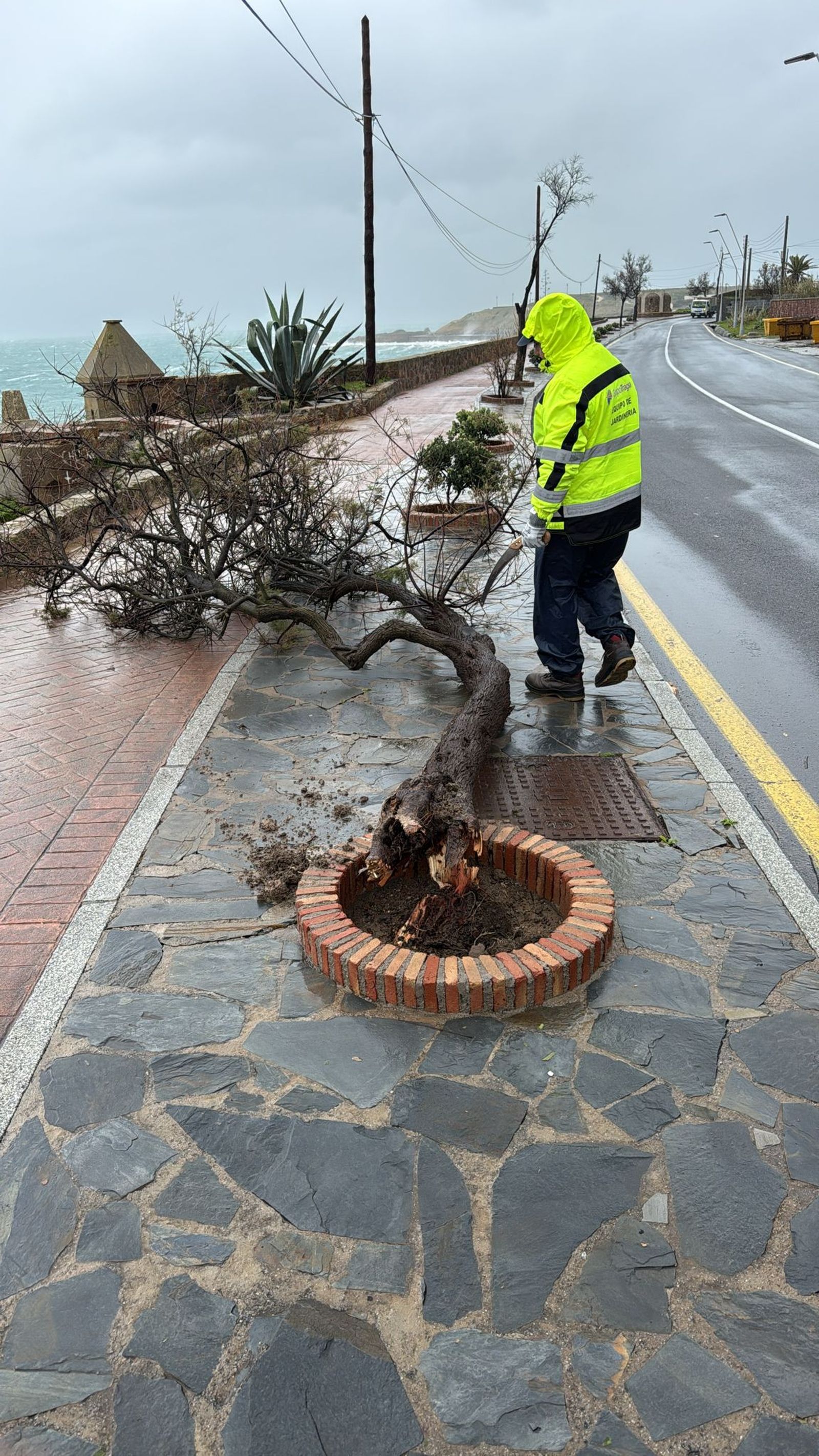 Vea las imágenes más impactantes del temporal