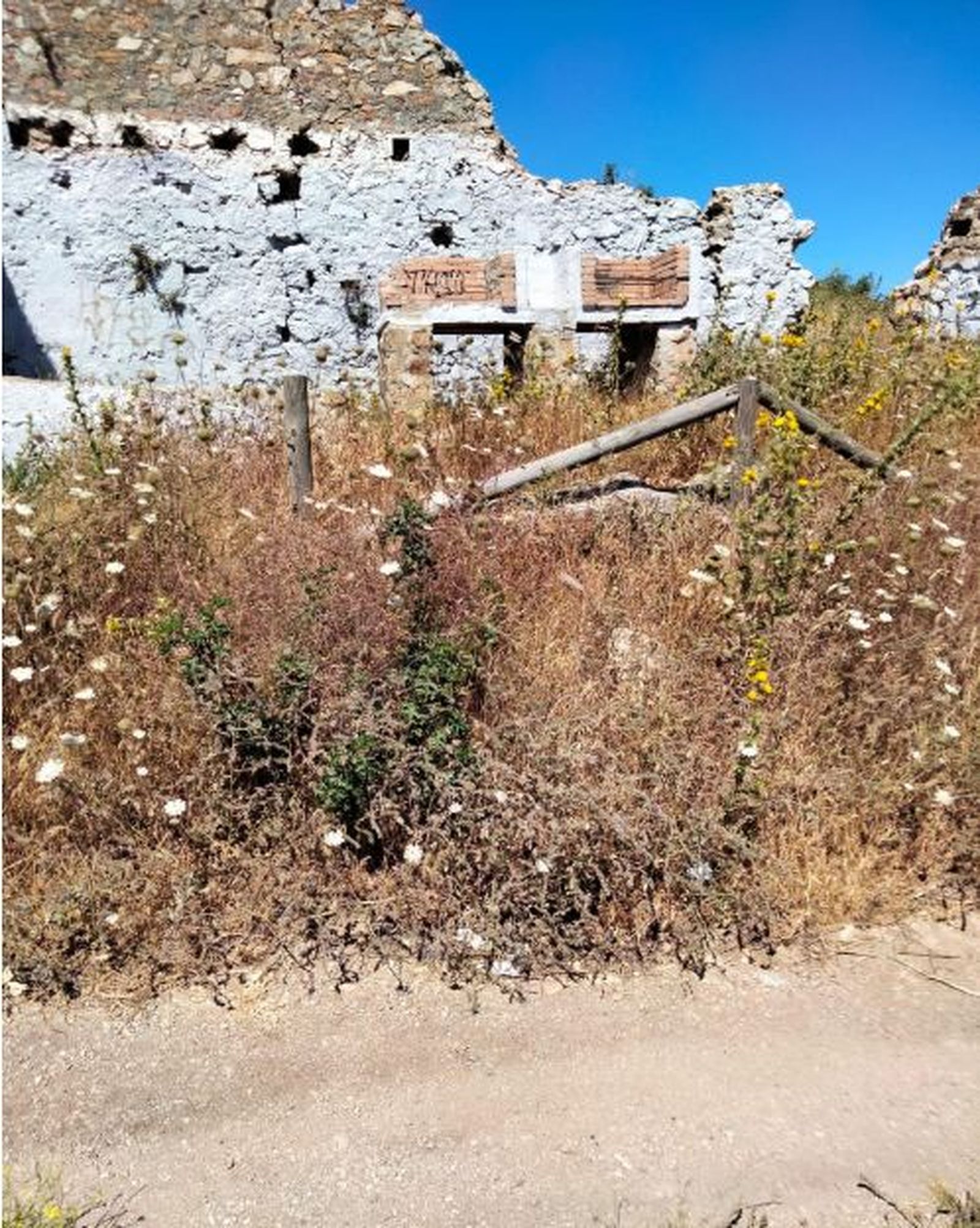 FOTO CEDIDA