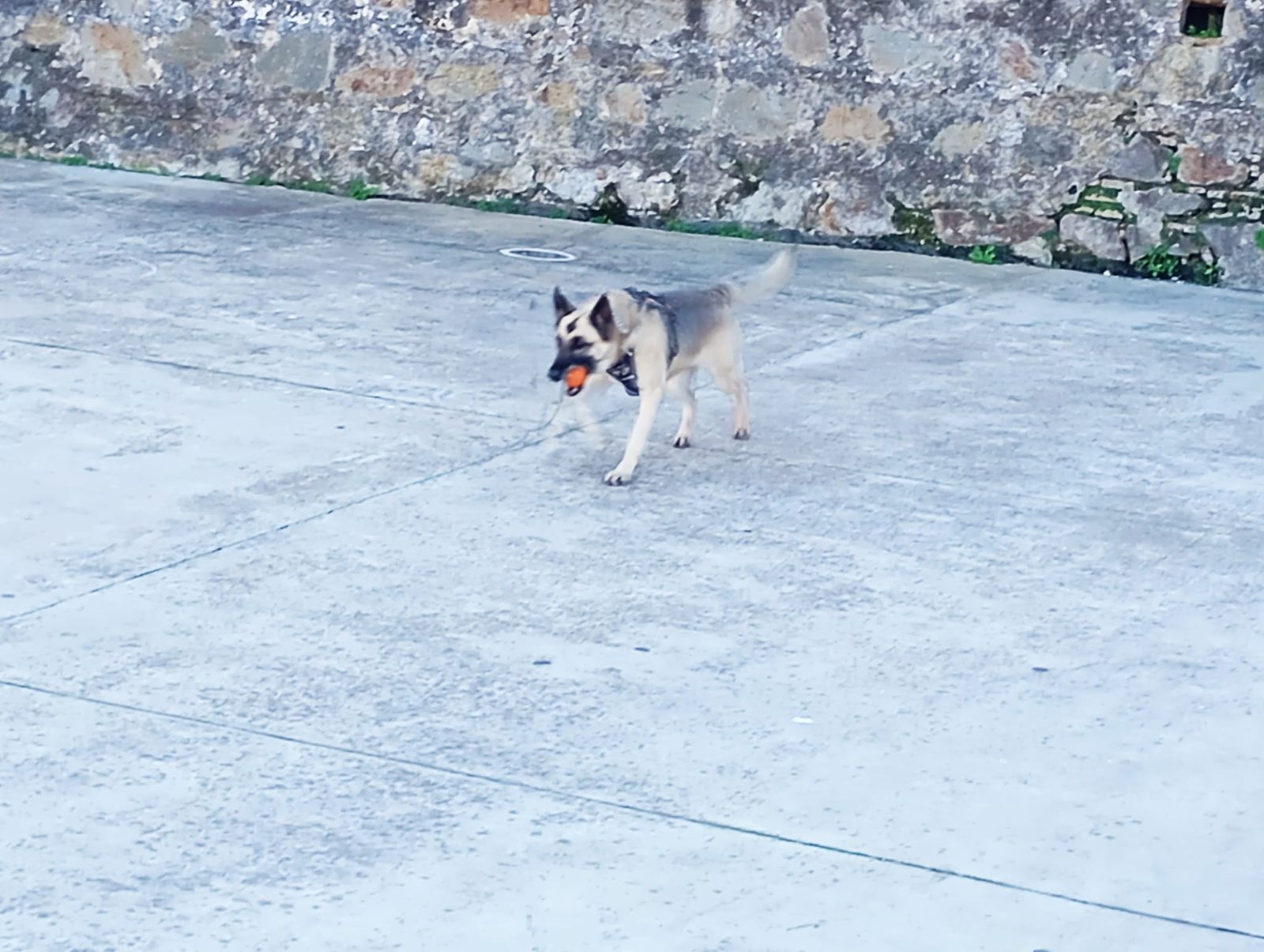 La III Edición de la 'Ruta 091',. en marcha