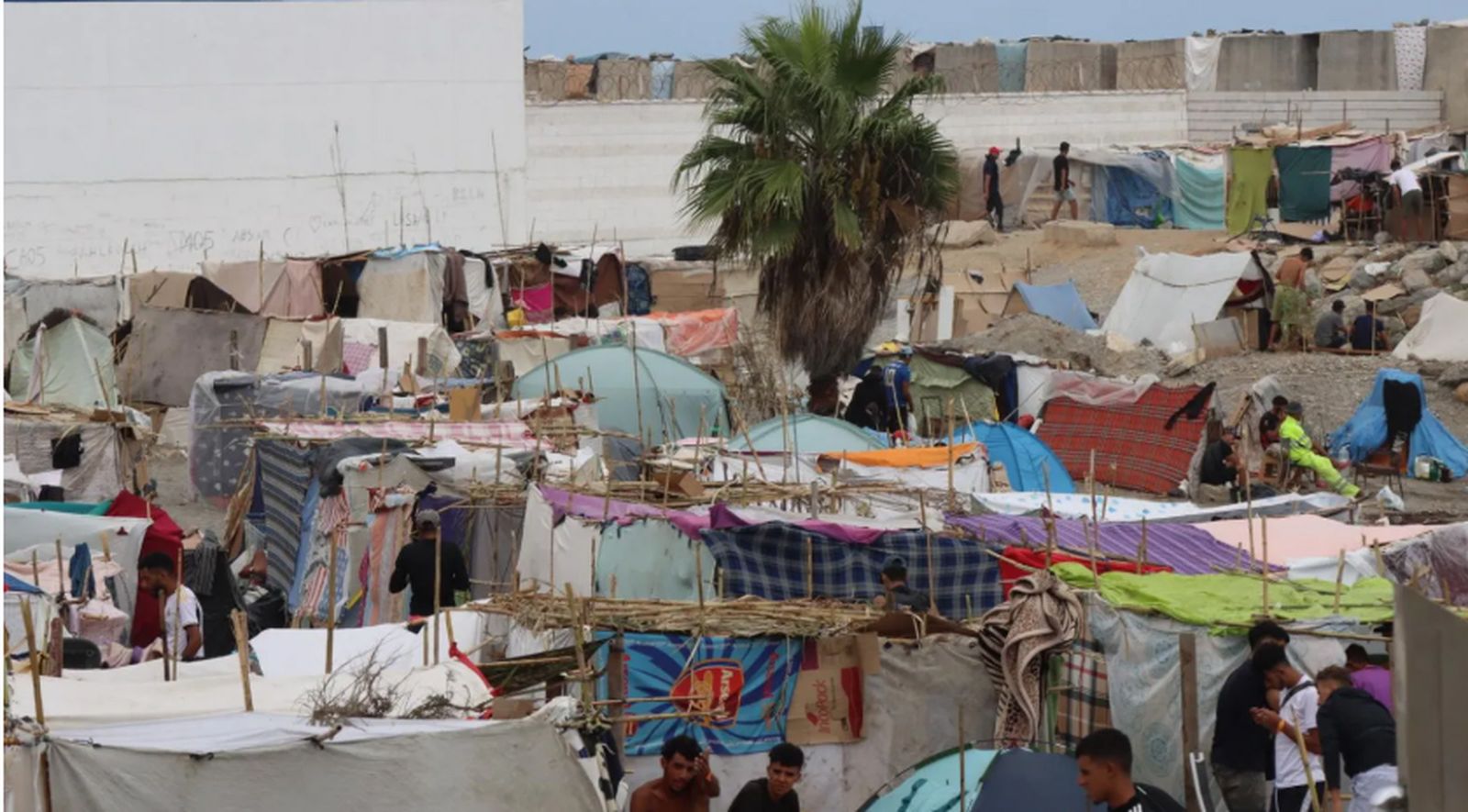 Campamento de chabolas junto a la desalinizadora